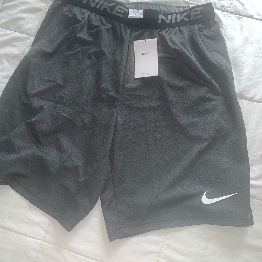 Nike Men's dri-fit shorts size LARGE. BRAND NEW WITH TAGS